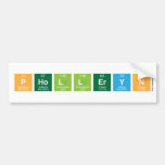 PHOLLERYN  Bumper Stickers