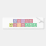 Ashish Pankhania  Bumper Stickers