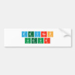 Zeynep
 Ugur   Bumper Stickers