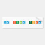 Va Iubim Profa   Bumper Stickers