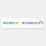lectura cientifica  Bumper Stickers