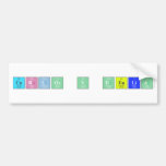 carlos y delia  Bumper Stickers