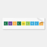 EliotGelwan  Bumper Stickers