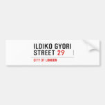 Ildiko Gyori Street  Bumper Stickers