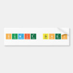 Sumit singh  Bumper Stickers