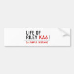 life of  riley  Bumper Stickers