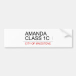 AMANDA class 1C  Bumper Stickers