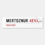 mertöznur  Bumper Stickers