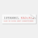 istanbul  Bumper Stickers