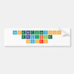 Congratulations
 Graduating
 Seniors  Bumper Stickers