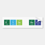 Evin hoca   Bumper Stickers