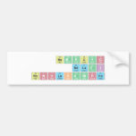 NOMVUYO
 NDLAZI
 NONHLAKANIPHO  Bumper Stickers
