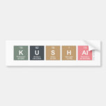 Kushal  Bumper Stickers