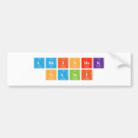 ABHISHEK
 SAINI  Bumper Stickers