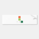 I
 Lv
 13g  Bumper Stickers