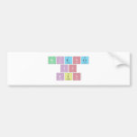 Science
 Is
 Fun  Bumper Stickers