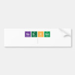 Nagham
   Bumper Stickers