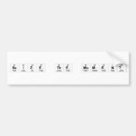 Seize the Moment  Bumper Stickers