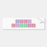 terri
 pizzaro  Bumper Stickers