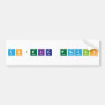 anjelica trevino  Bumper Stickers