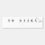 Team Ausome
   Bumper Stickers