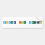 NisaHoca ile Fendekal  Bumper Stickers