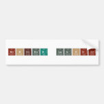 Monsieur Laghdir  Bumper Stickers