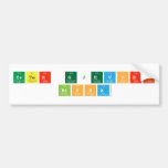 Ester Gjevori
    Bisha  Bumper Stickers
