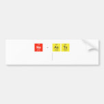 NE-ASTE
   Bumper Stickers