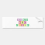 fatma
 nur
 aksuz  Bumper Stickers
