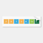 Phyoming  Bumper Stickers