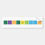 EliotGelwan  Bumper Stickers