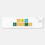 Hasta    
 pronto   Bumper Stickers