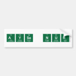 Ayse Nur   Bumper Stickers