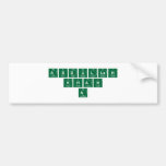 abdullah
 khan
   a   Bumper Stickers