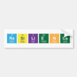 Resilience  Bumper Stickers