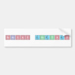 Seasons Greetings  Bumper Stickers