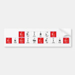Edible
 Engi|nee|ri|ng  Bumper Stickers