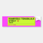 Khanyisile Tshabalala Street  Bumper Stickers
