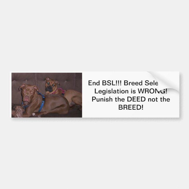 Bumpersticker end BSL Bumper Sticker (Front)