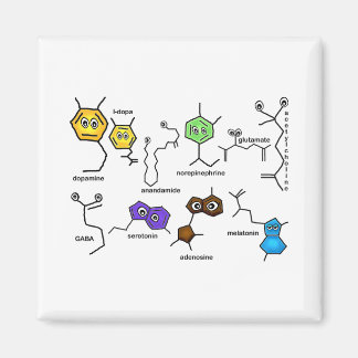 Bumpy Neurotransmitters Magnet