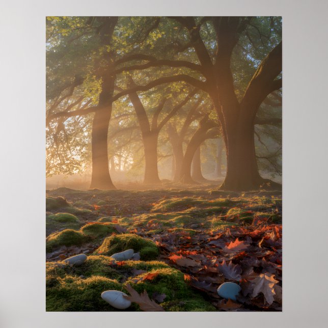 Bumpy Path Poster (Front)