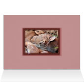 Bunch of Bunnies-any occasion-customize (Inside Horizontal (Top))