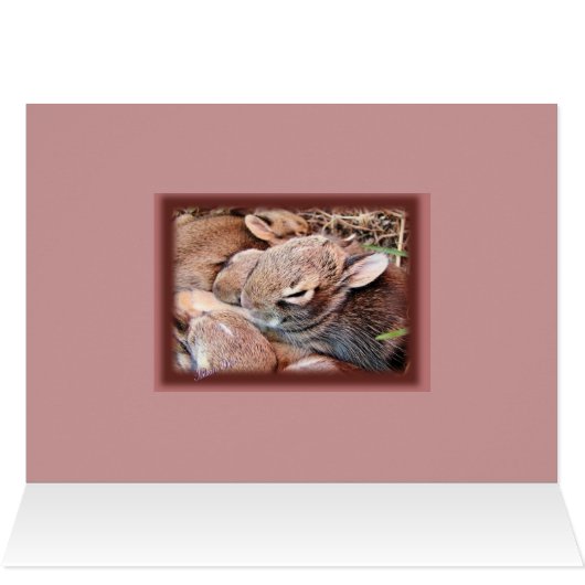 Bunch of Bunnies-any occasion-customize (Inside Horizontal (Top))