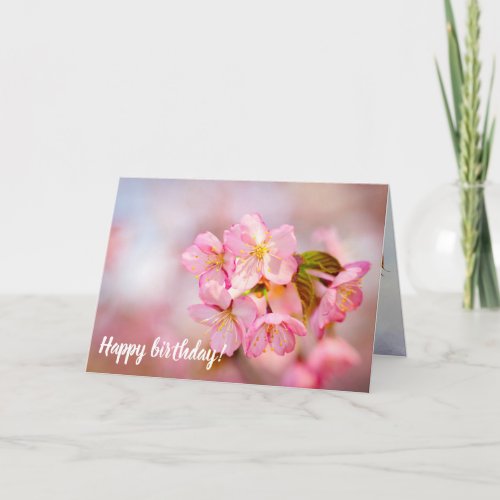 Bunch Of Fresh Pink Sakura Flowers On Pink Card