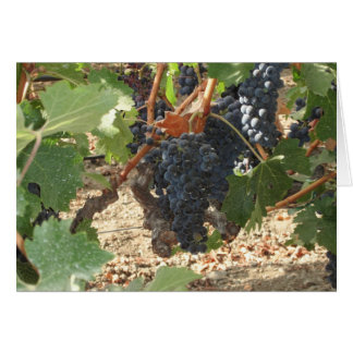 Bunch of Grapes Cards