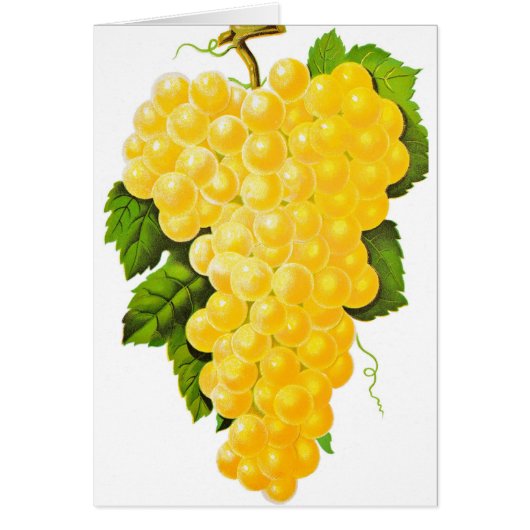 Bunch of Grapes Cards (Front)
