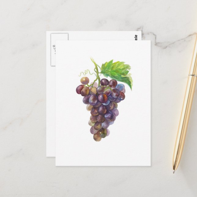 Bunch of Grapes Fruit Watercolor Painting Postcard (Front/Back In Situ)