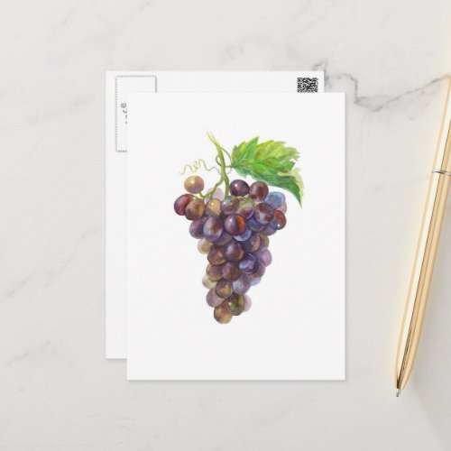 Bunch of Grapes Fruit Watercolor Painting Postcard