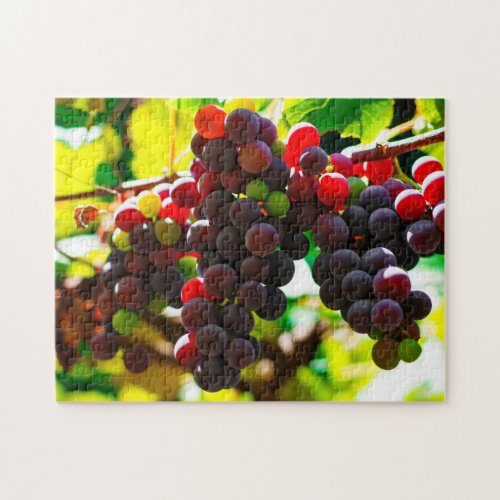 Bunch of Grapes Jigsaw Puzzle